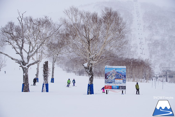 ニセコマウンテンリゾート グラン・ヒラフ　粉雪と千歳ワイナリーの美味しいワインに酔う♪